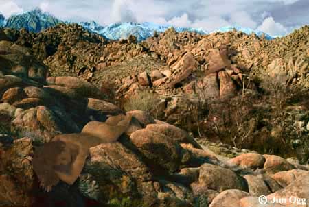 Alabama Hills Expanded Image