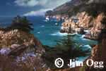 Big Sur Vista
