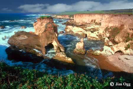California Sphinx Expanded Image