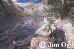 Convict Lake Stump