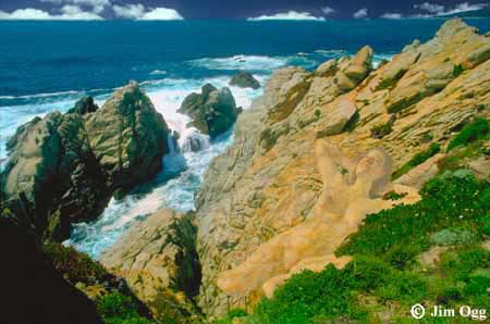 Point Lobos Shoreline Expanded Image